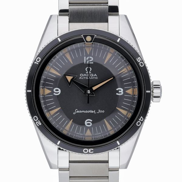 Omega Seamaster 300 234.10.39.20.01.001